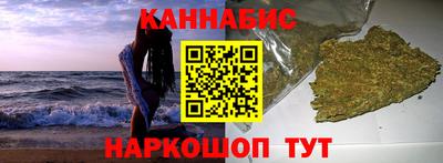 сатива Кингисепп