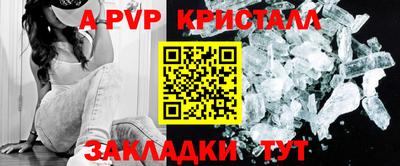 СК Будённовск