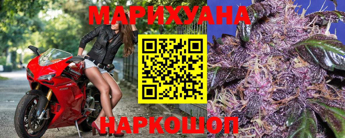 Бошки марихуана план  Каннабис сатива  Пушкино  Вход с VPN 